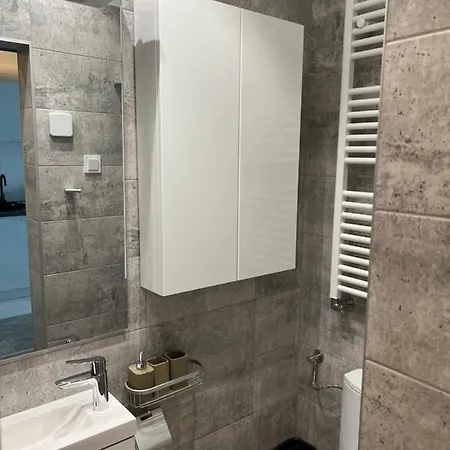 Marvelous 4 Penthouse Rooftop Terrace W14+w15 Apartment Bukarest